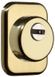 Дверной протектор AZZI FAUSTO F23 ANT с юбкой, прямоугольный, полированная латунь, H45 мм 000005261 фото