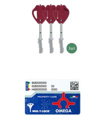Комплект ключей MUL-T-LOCK *OMEGA 3KEY+CARD 430045 фото