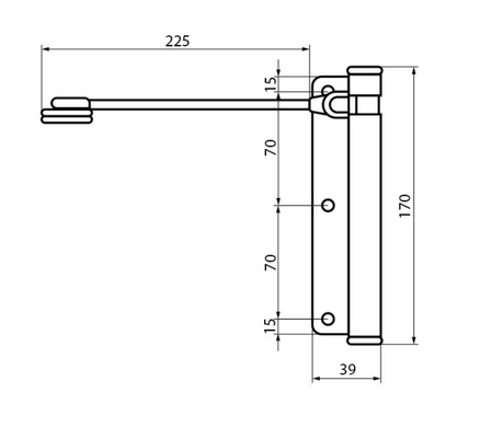 Дверний дотягувач на полотно ALDEGHI LUIGI 114OS170D правий OS матова латунь 50-440 фото