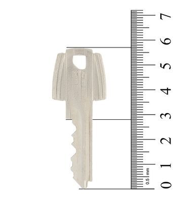 Ключ TESA TE5 1KEY 430148 фото