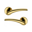 Дверная ручка Colombo Blazer zirconium gold HPS