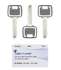 Комплект ключей MUL-T-LOCK MTL800/MT5+ 3KEY+CARD 430054 фото