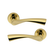 Дверная ручка Colombo Design Flessa CB51 ZIRCONIUM GOLD HPS зол