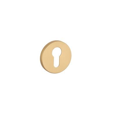 Накладка под PZ R AT/ST 7мм матовая латунь GOLD SATIN 45-585 фото