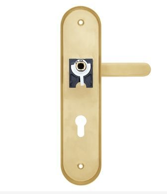 Фурнітура захисна ROSTEX *Solid-Pro+ F mov-mov din Plate 85мм Нерж.сталь_мат_титан_Pvd 13мм 56-70мм 4клас Solid Nerz_mat_TI Комплект 40-0034347 фото