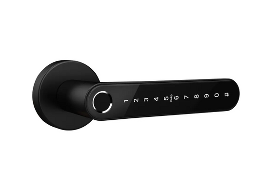 Биометрический замок SEVEN Lock SL-7739BF 41-108925 фото