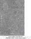 ПВХ-плівка HAOGEN WINSHIELD_ECO+ бетон сірий 123A-1 ASPHALT(A) BETON GREY PT1 STONEDESIGN 0,250мм 44-8343 фото 3