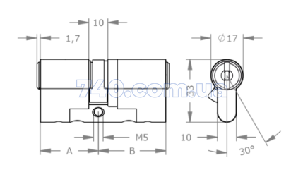 Сердцевина EVVA ICS DZ SSW 31/36 NI 3k 000006647 фото