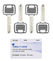 Комплект ключів MUL-T-LOCK MTL800/MT5+ 4KEY+CARD 430038 фото