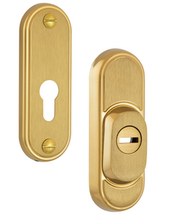 Протектор ROSTEX Decor R3 din Plate 22мм 38-45мм Титан_Pvd_матовий 3клас TI_mat Комплект 40-0020282 фото