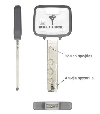Комплект ключів MUL-T-LOCK MTL800/MT5+ 2KEY+CARD 430076 фото