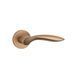 Дверна ручка STILE PULIA R 7S ST світло коричневий LIGHT BROWN(тонка розетка) 50-1233 фото 2