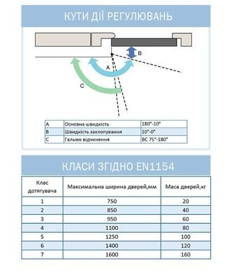 Доводчик накладной RYOBI 3550 DS-3550P SILVER BC/DA PRL_HO_ARM EN_2-5 до_100кг 1250мм 40-0002934 фото