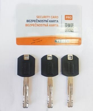 Замок висячий Tokoz Gama 60 OS PRO 3 key 50-1282 фото